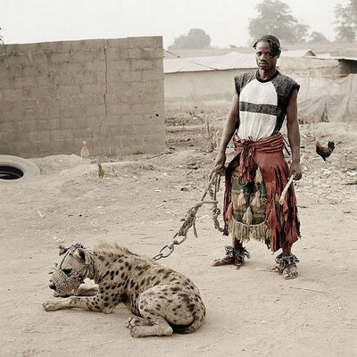Hyena1979 (@Hyena1979) / X
