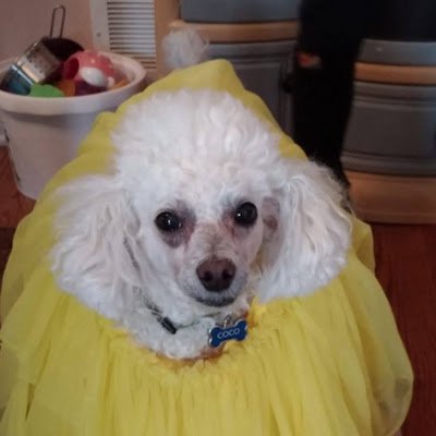 kim_zhou12's profile picture. 