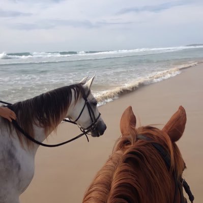 zainab_alsulami's profile picture. Clinical Dietitian 💜