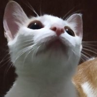 brainy099 (@brainy099) 's Twitter Profile