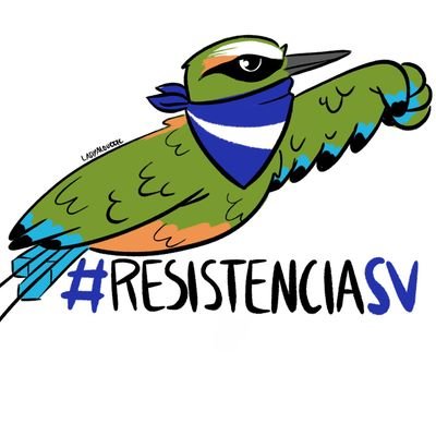 Torogoz_Rebelde's profile picture. 