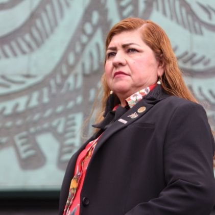 Diputada Federal de la LXV Legislatura por la 3ra circunscripción.