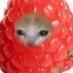 Ricardo (@ricardor1710) Twitter profile photo Ricardo (@ricardor1710) Twitter profile photo