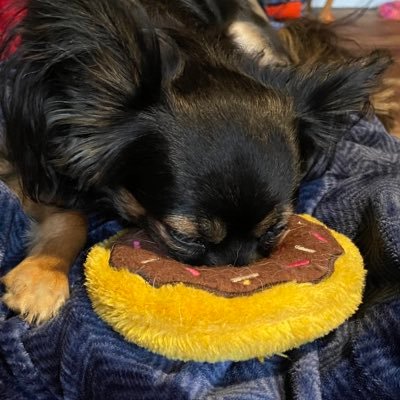 I’m a small town country girl who loves her family and a stay at home Fur Mama to my 19 month old dog Loki. I take it one day at a time and Always Keep Fighting