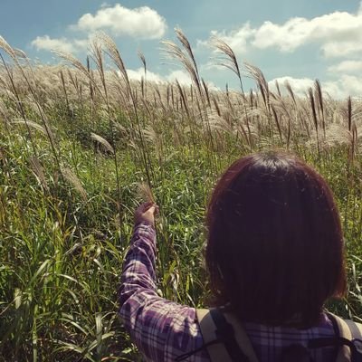 徒然なるままに。ほぼ自分用memoづかい。