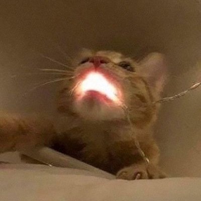 elfsys's profile picture. shitpost | she/her | 7teen | INTP/J | ♒︎