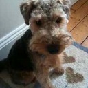 Mary Pendleton - @MaryTPendleton - Twitter