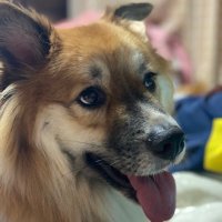 館野隆哉 (@t7mpip1pqtd7mgo) 's Twitter Profile