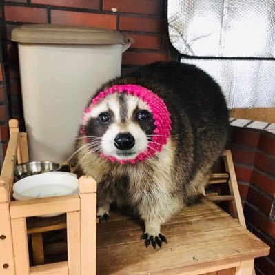 ThomasJWilkins4's profile picture. Ban banan bananba