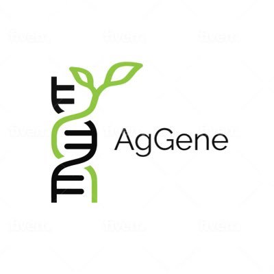 AgGeneInc's profile picture. AgGene is a Calgary-based biotechnology company focused on the use of gene editing to improve crop and food production