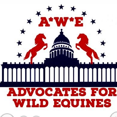 We are a group of equine advocates that have come together to hire a lobbyist for whom is the voice for advocates, the ecologists, the rescues, sanctuaries.