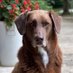 maxwell@finnegan (@maxwellfinnega1) Twitter profile photo maxwell@finnegan (@maxwellfinnega1) Twitter profile photo