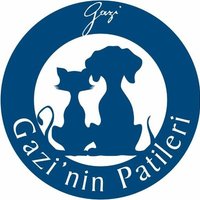 Gazi'nin Patileri (@gazininpatileri) Twitter profile photo