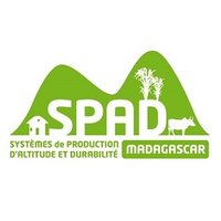 dP SPAD (@dp_spad) 's Twitter Profile