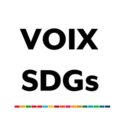 VOIX SDGs Profile