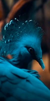 Sneha76613800's profile picture. Dad's little princess
Pet lover ..
Music 🎵 addict