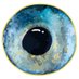 sticklelab (@sticklelab) Twitter profile photo sticklelab (@sticklelab) Twitter profile photo