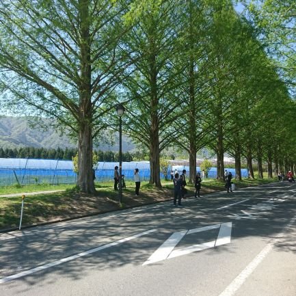 kobameat's profile picture. 歯科医。

4月から実家に帰ってきて、日々悩む毎日