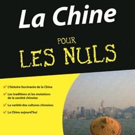 Journaliste économique @AFP, ex-marchés, finance durable, luxe, tourisme, Parlement. Auteure de La Chine pour les Nuls. T&RT n'engagent que moi #ocean #climat