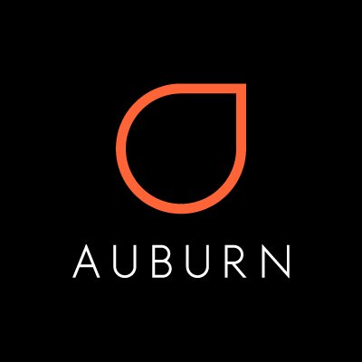 Auburn is a digital marketing company offering web design & online marketing for businesses who want to succeed online. Creatively led & results oriented