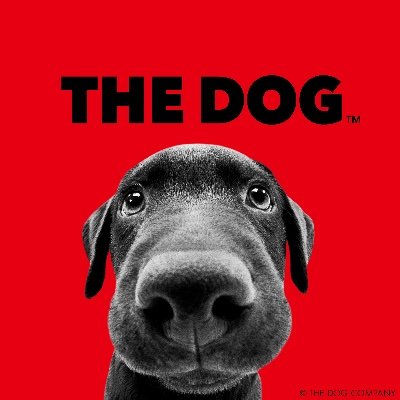 魚眼レンズで撮影されたユニークな写真のブランド「THE DOG」
「THE DOG and Friends」の公式アカウントです。様々な商品情報や活動を中心にお伝えしていきます🐶