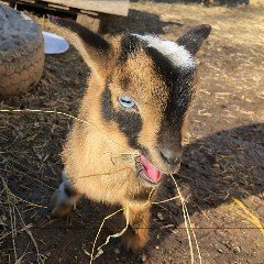 juctdarlinp's profile picture. 