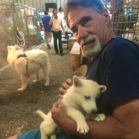 Deplorable John P. βπΊπΈβοΈβ (@pearsonspr1nger) 's Twitter Profile