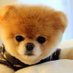 ly bon tam bon (@lybontambon1) Twitter profile photo ly bon tam bon (@lybontambon1) Twitter profile photo