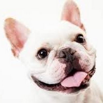 xiaopintwitt's profile picture. ６０過ぎて手習いとしてプログラミングの勉強を始めた初老の人間です。海外出張の傍らに覚えた料理が趣味で、食材作りとして家庭菜園などもやっています。よろしくお願いします。