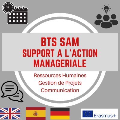 Formation initiale au BTS SAM (Support A l'Action Managériale)