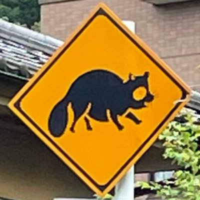 mai_BOOK's profile picture. 編集者。サウナ・スパ 健康アドバイザー。