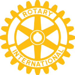 Rotary Club Calvia International, Non-Profit organisation