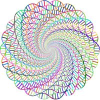 a.refactored.live (@refactormyself) 's Twitter Profile