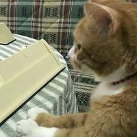 hi.im.melih (@hi_im_melih) 's Twitter Profile