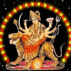 Mandy14414938's profile picture. 