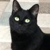 salt n sauce 🇺🇦 🐈⬛ ✌️ (@adriennefj) Twitter profile photo salt n sauce 🇺🇦 🐈⬛ ✌️ (@adriennefj) Twitter profile photo
