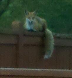 ahhjaws's profile picture. PT, MT, UT Nondestructive Test Technician Level III at Woodward