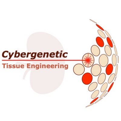 CyGenTiG is an international collaborative scientific programme to develop techniques for controlling living cells, including human cells, with light.