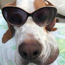 Chris Coe - @ChrisCo38933485 - Twitter