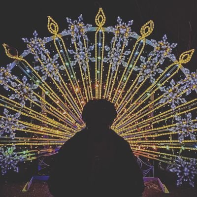 tofu_tofuV's profile picture. SNSが続けられない