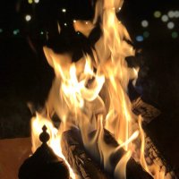 تأبط خيراً (@ojojojojojoj4) Twitter profile photo
