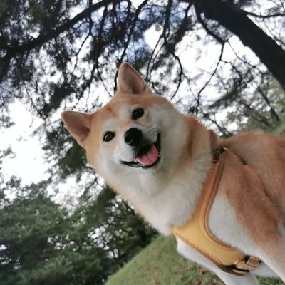 Riqs_12's profile picture. 