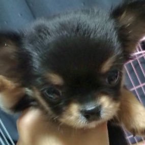 FnisYur's profile picture. 懸賞好き😊

当選したら丁寧に報告します♡
#懸賞
#趣味
#懸賞友達募集