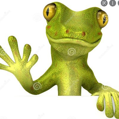 szarvascsoda's profile picture. living the gecko life