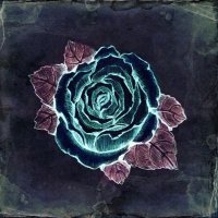 trauma (@traumaedits) 's Twitter Profile