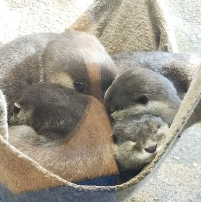 h199707071's profile picture. 