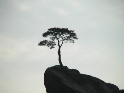 2shyun's profile picture. office worker/late 40s/reading/golf/outdoor/골프홀릭/캘러웨이/팀타이틀리스트/