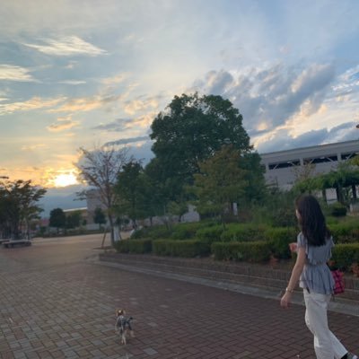 sjaveyn's profile picture. 