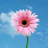 ❀ 𝑅𝐸𝐻𝐴𝐵 ❀ (@rehhab23) 's Twitter Profile