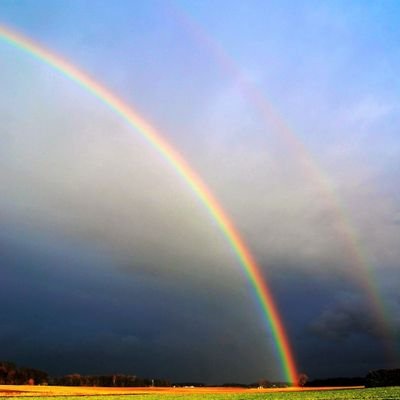 veensepolitiek's profile picture. Oprecht geïnteresseerd in de politieke zaken van Veenendaal